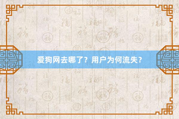 爱狗网去哪了？用户为何流失？