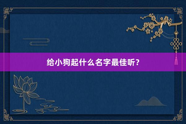 给小狗起什么名字最佳听?