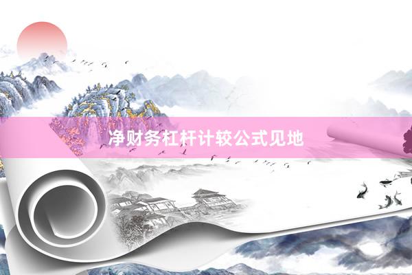 净财务杠杆计较公式见地
